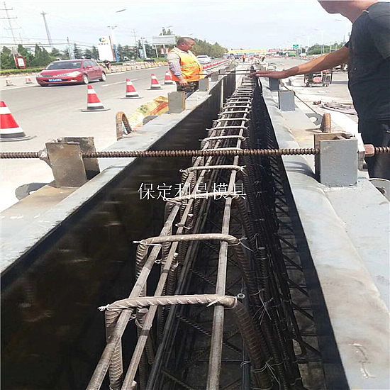 中央防撞護(hù)欄模具