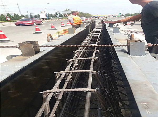 混凝土護(hù)欄模具_(dá)卓億案例